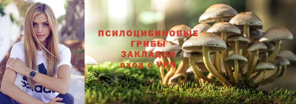 шишки Армянск
