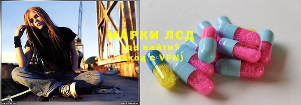 соль ск Новодвинск