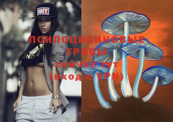 apvp Алексеевка