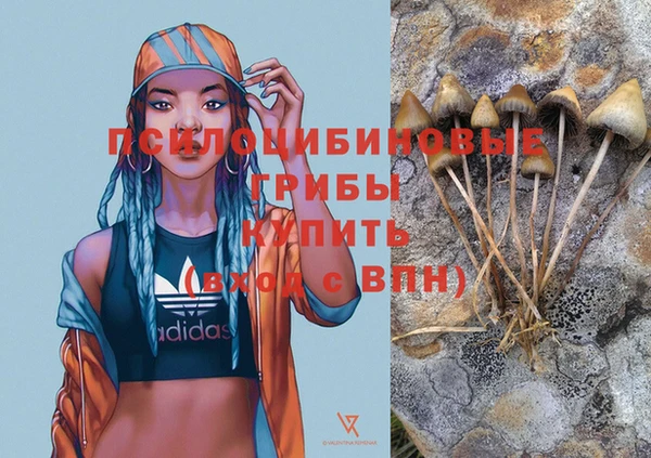 СК Арсеньев